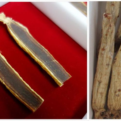 SÂM THÁI CỰC 6 NĂM 600G